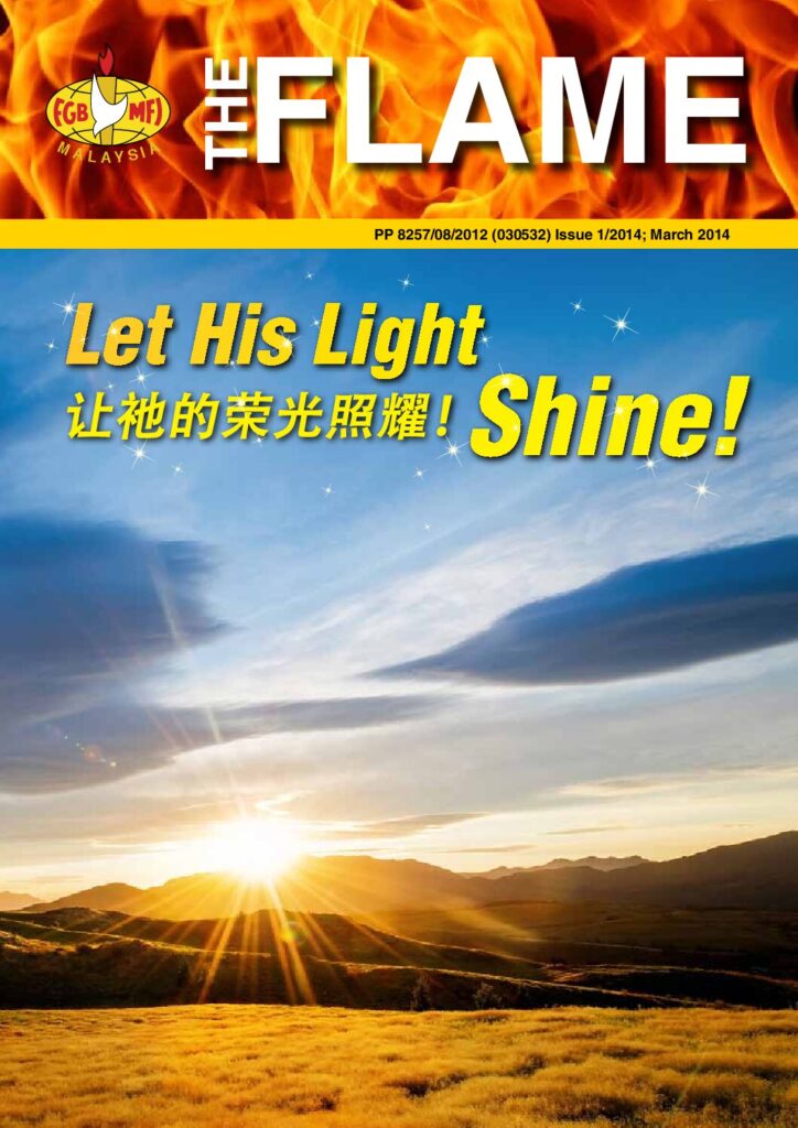 FLAME — March 2014