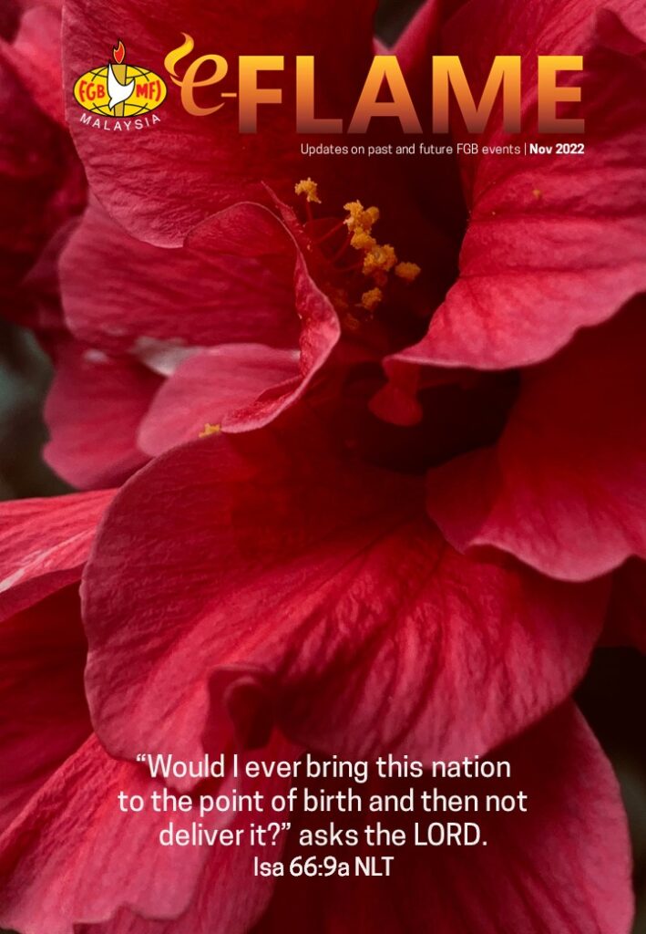 e-Flame — November 2022