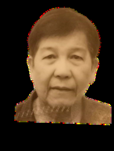 Mr Alfred Chua